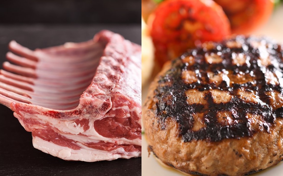 ハニューフーズ　商社　食肉