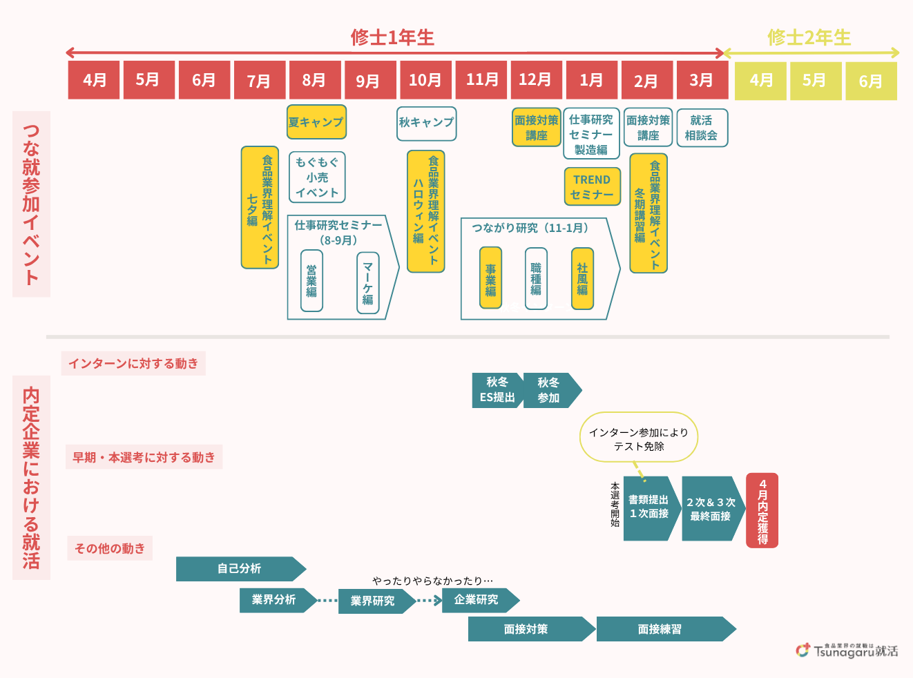 ちっぴ先輩の就活スケジュール