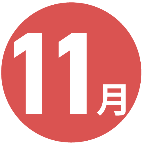 11月